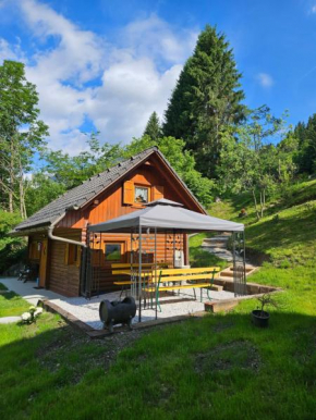 Cottage Ladybug Mojstrana